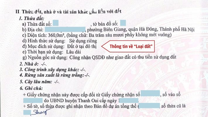 Luat su Tu van Luat su Tranh tung 24