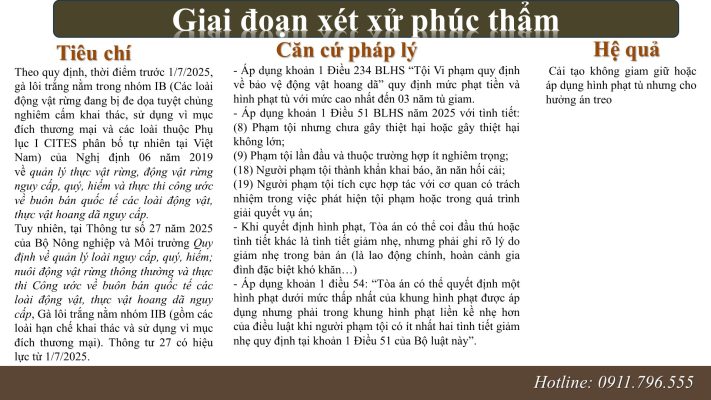 Luat hinh su