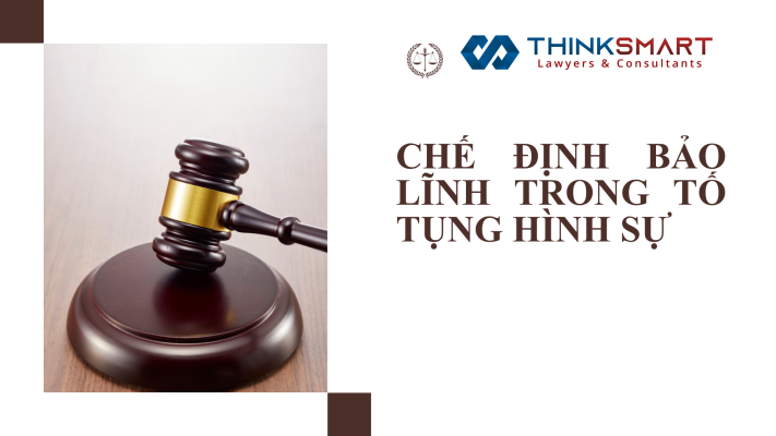 Bảo lĩnh trong Tố tụng Hình sự Việt Nam 54 Bảo lĩnh trong Tố tụng Hình sự